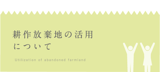 耕作放棄地の活用について